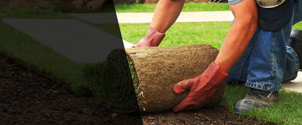 Eyota Landscapers